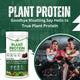 Floral Nutrition 100% Plant Protein Powder with Aminoacids, Vitamins and Minerals Plant-Based Protein  (500 gm)