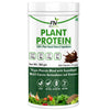 Floral Nutrition 100% Plant Protein Powder with Aminoacids, Vitamins and Minerals Plant-Based Protein  (500 gm)